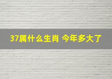 37属什么生肖 今年多大了